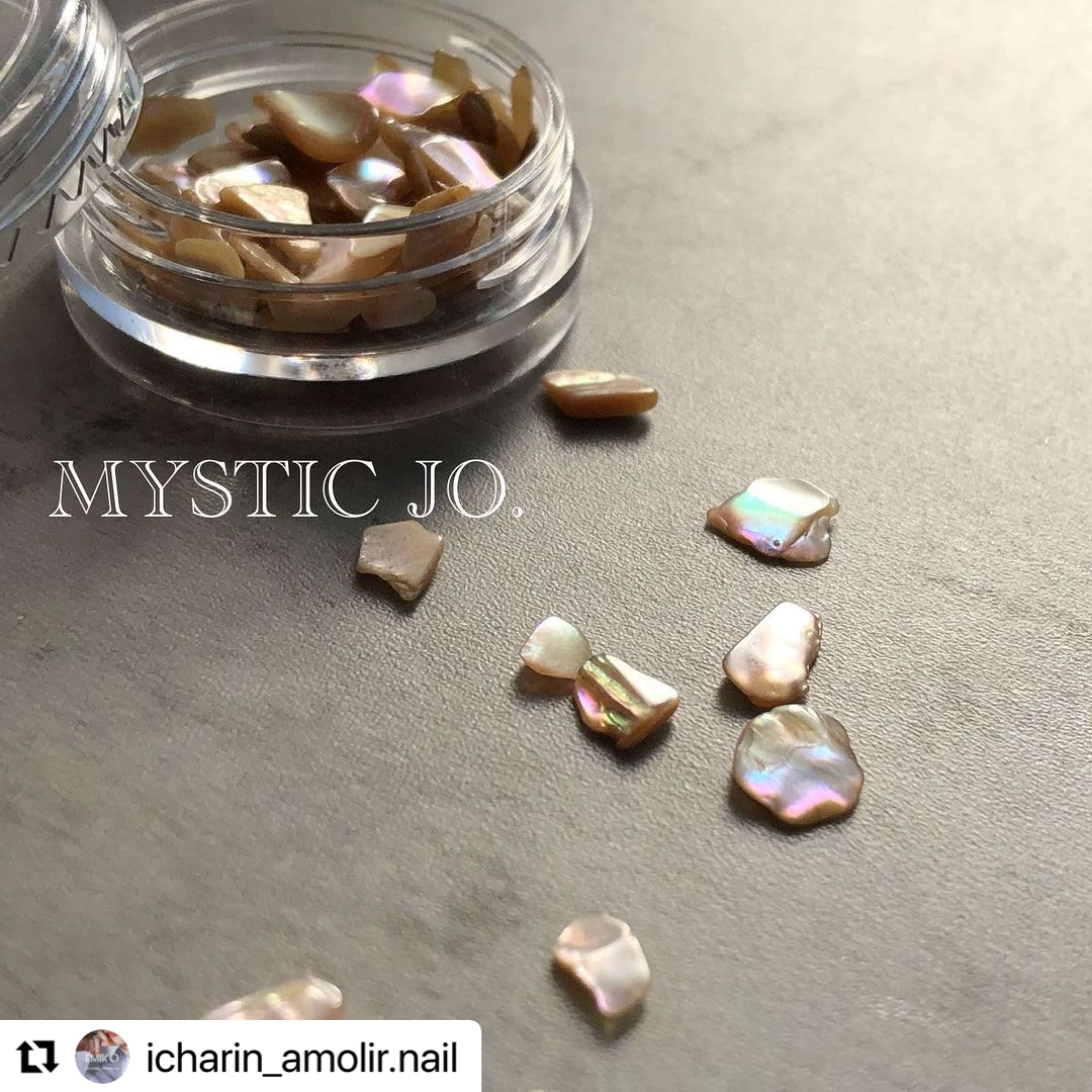 【MYSTIC JO.】NATURAL SHELL ( S-1 )