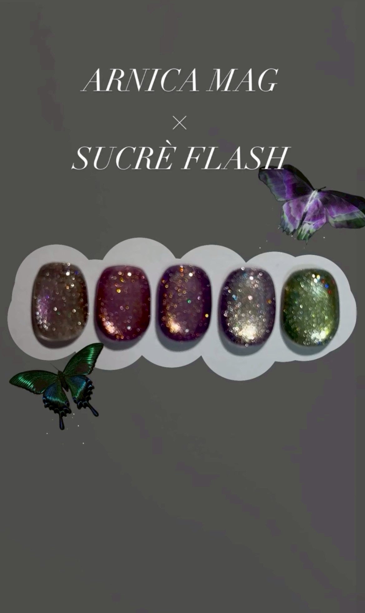 【CRÉU】ARNICA MAG 066~070